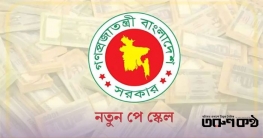 ১১-২০ গ্রেডে বিশেষ বেতন ও সুবিধা, সচিবদের জন্য বিশেষ ধাপ